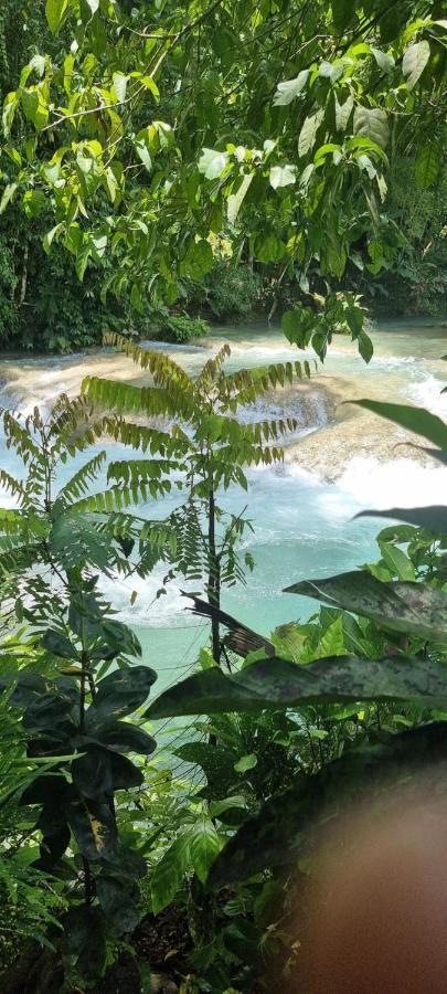 Komfort Getaway Villa At Countrymist Ocho Rios Luaran gambar