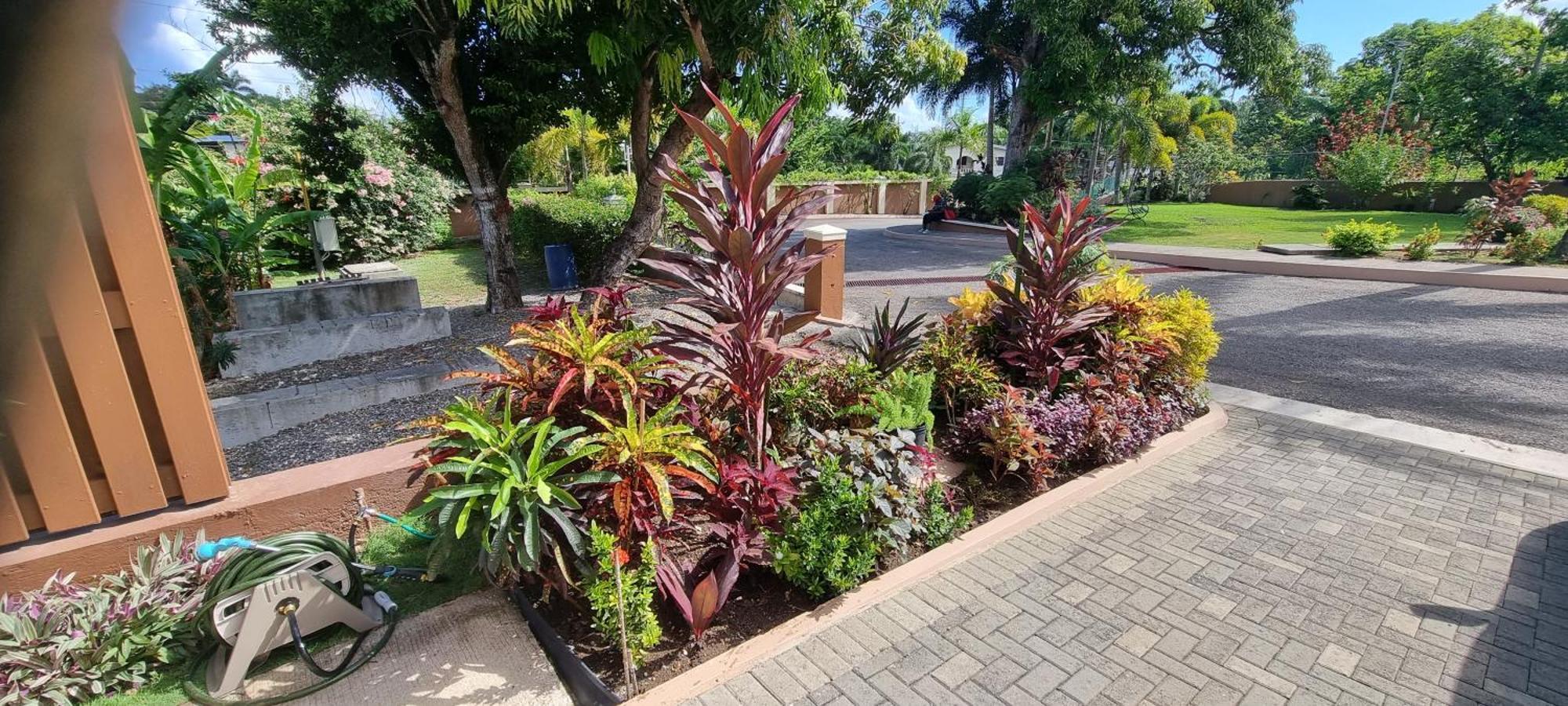 Komfort Getaway Villa At Countrymist Ocho Rios Luaran gambar